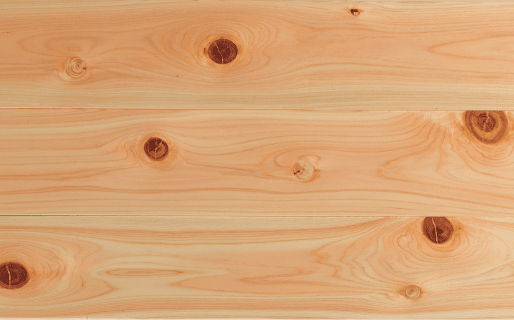 生節の木目の写真